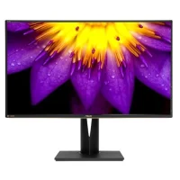Монитор ASUS PA329Q фото 1